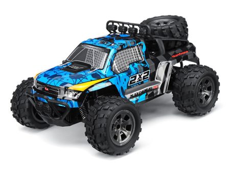 1 18 2.4G 2WD 100m Long Distance Control RC Car Off Road Dessert Buggy on Sale